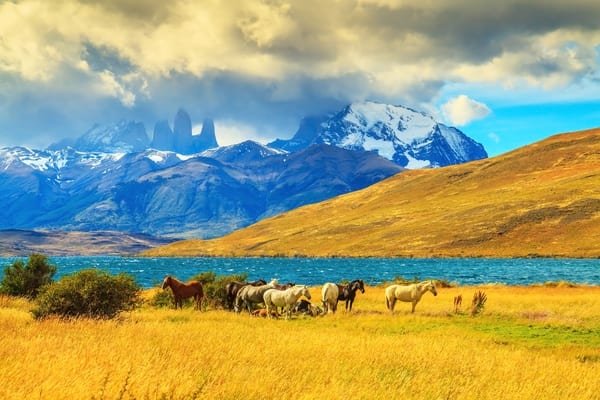 photo La Patagonie 