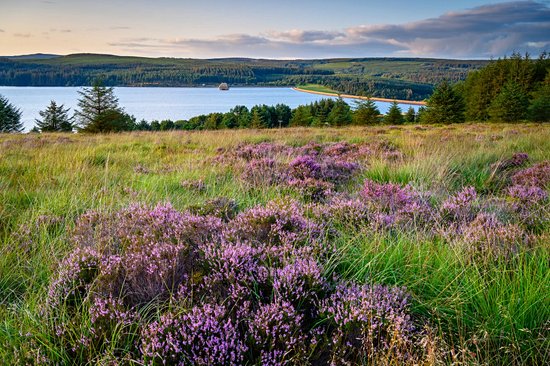Kielder Water