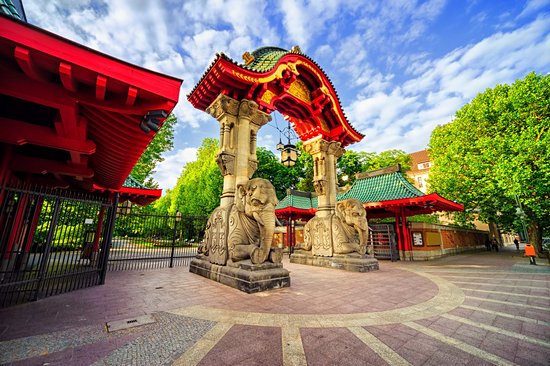 Le zoo de Berlin et Tiergarten