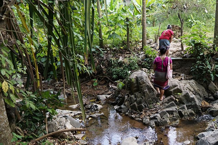 Trekking en pays Karen
