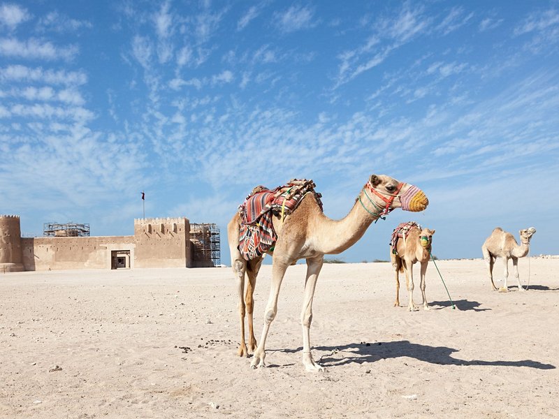 Al Zubarah