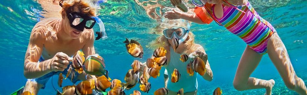 S’adonner aux joies du snorkeling, du surf et de la planche à voile