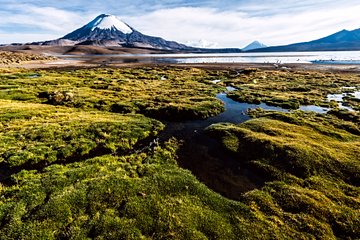 Parc national Lauca