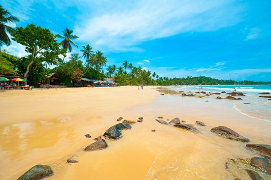 Mirissa Beach