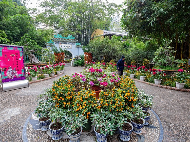 Lou Lim leoc garden, entre Europe et tradition chinoise