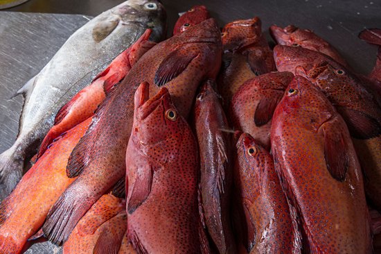 Mercado do Peixe