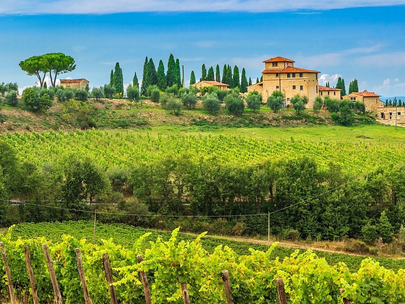 Vallée de Chianti