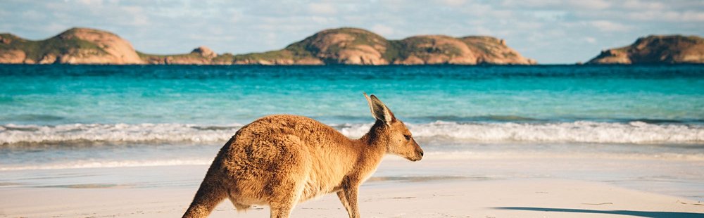 Lucky Bay (Esperance)