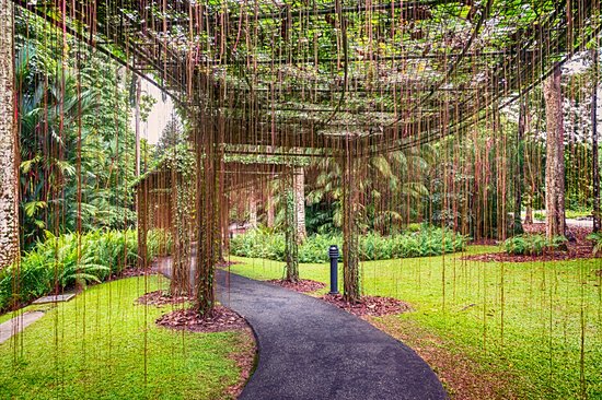 Jardin botanique de Singapour