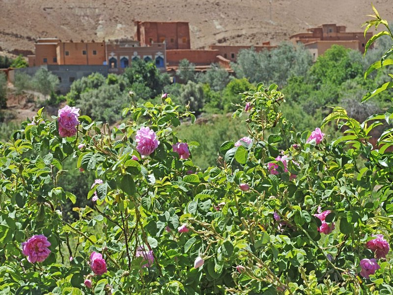 Vallée des Roses