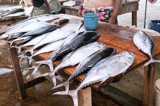 Marché aux poissons