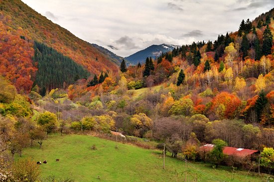 Parc national de Rila