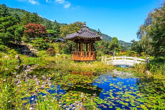 Jardin du matin calme