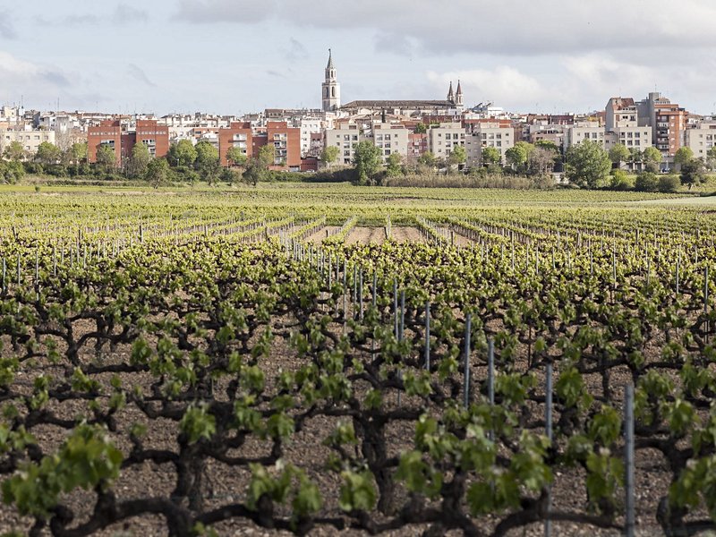 Vilafranca et le vignoble du Penedès