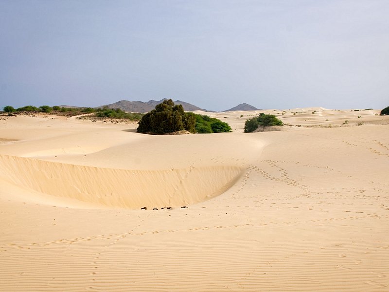 Désert de Viana