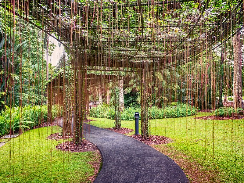 Jardin botanique de Singapour