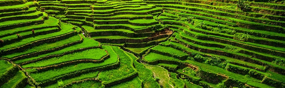 Ifugao