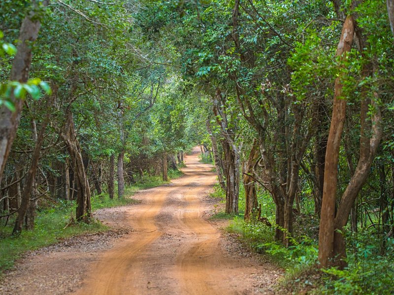 Parc national de Wilpattu