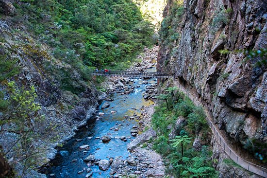 Gorges de Karangahake