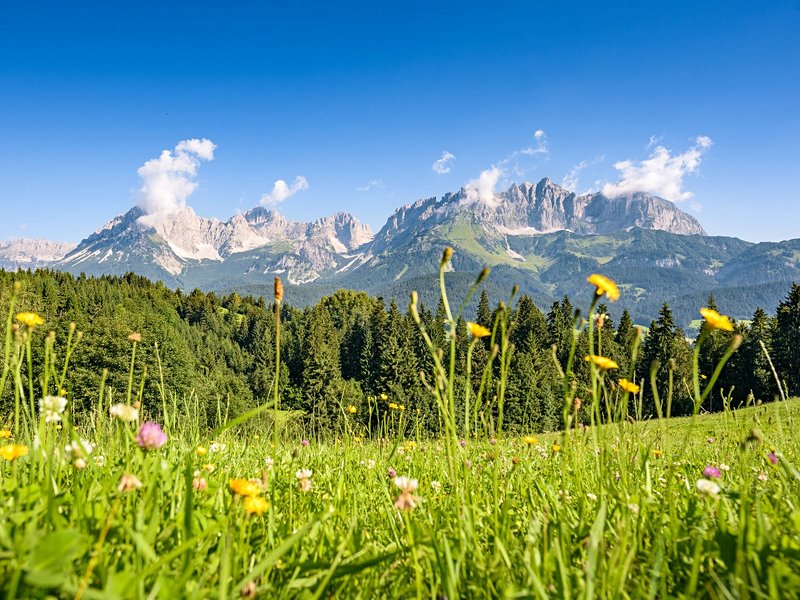 Le Tyrol autrichien