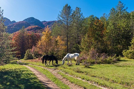 Parc national des Abruzzes, du Latium et du Molise