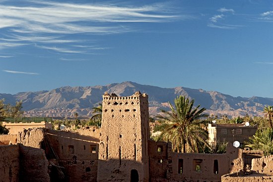 La palmeraie de Skoura