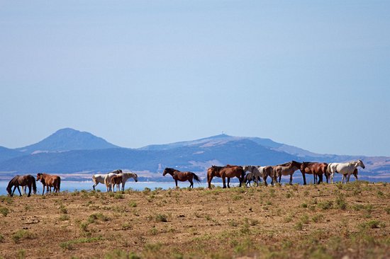 Parc de l'Asinara