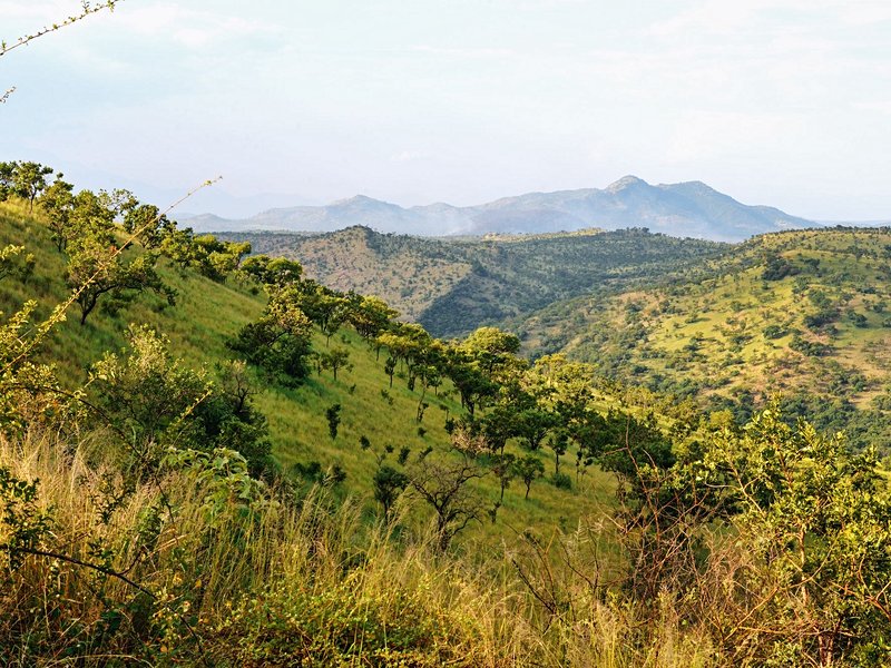 Parc national de Mago