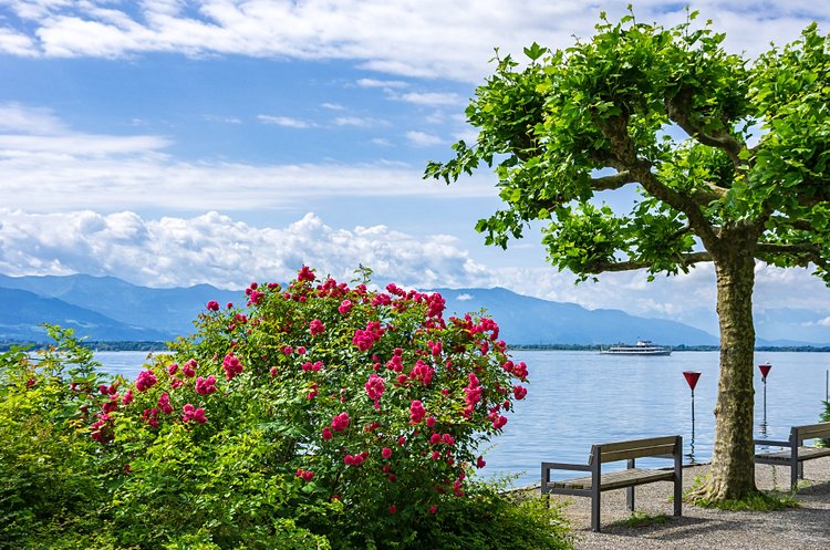 La rando lacustre : le chemin du lac, au bord du lac de Constance