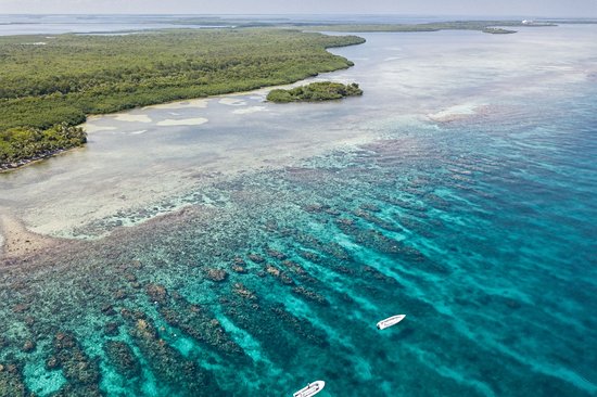 Turneffe Atoll
