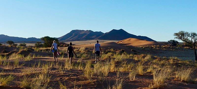 Randonnée dans le désert du Kalahari