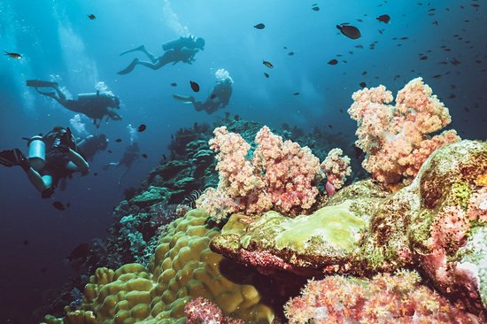 Tester la plongée sous-marine à Koh Lanta