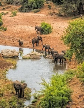 Les plus beaux lieux de l' Afrique du Sud