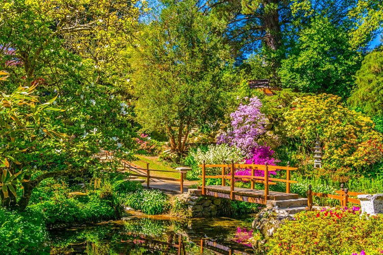 Les jardins du bout du monde de Powerscourt 3