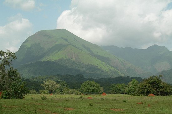 La réserve naturelle du mont Nimba
