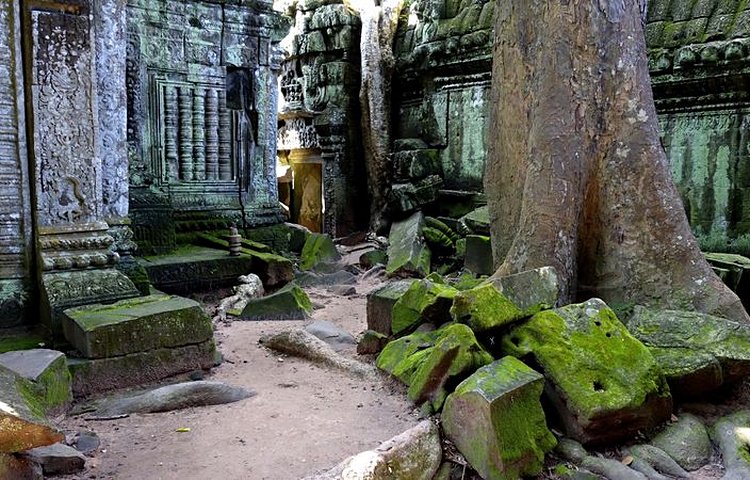 Le temple Ta Prohm