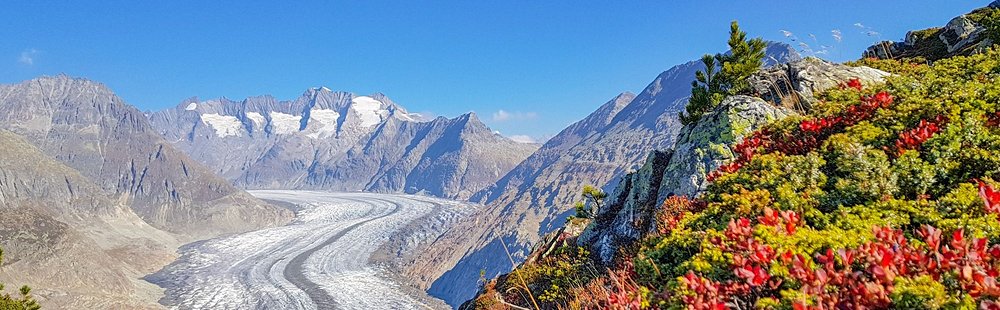 Le glacier d'Aletsch