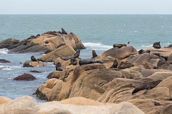 Cabo Polonio