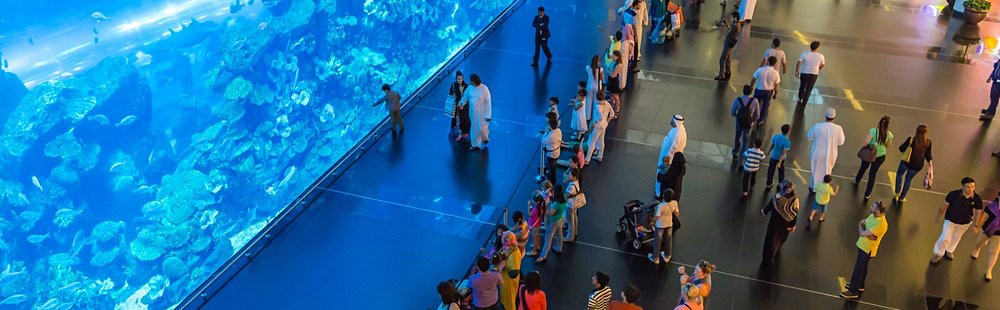 L'Aquarium et l'Underwater Zoo
