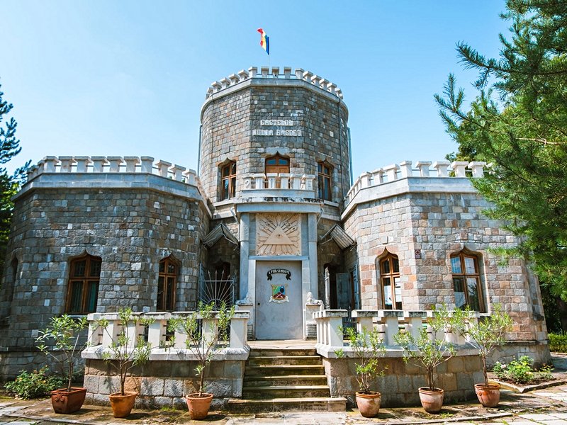 Le château d'Iulia Hasdeu, Campina
