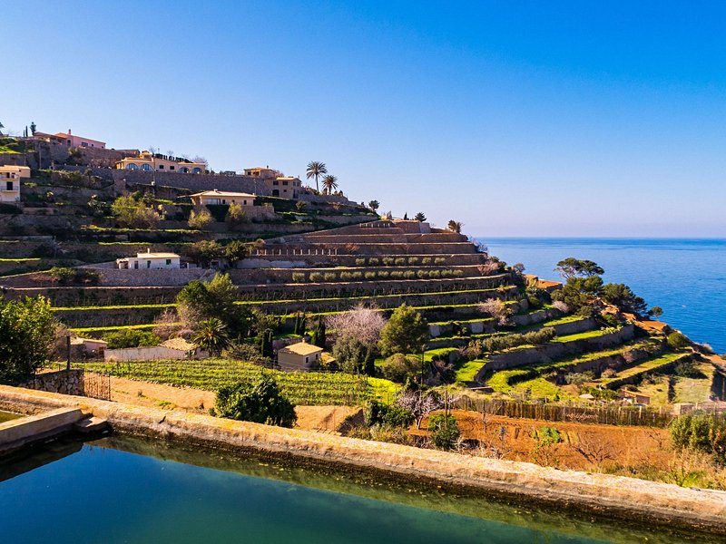 Le vignoble de Banyalbufar