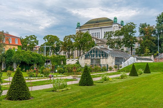 Le jardin botanique
