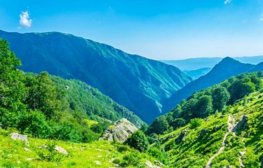 Le parc national du Balkan central 