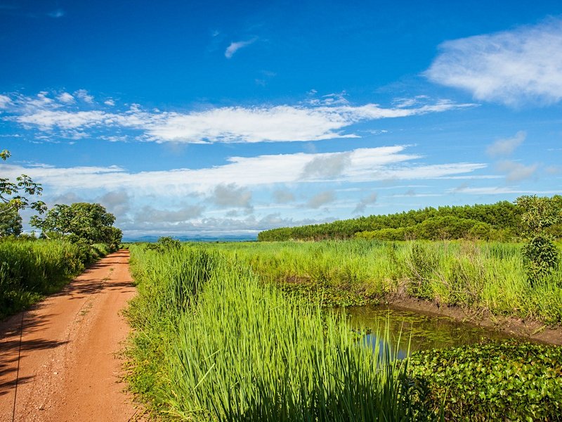 Parc national du Pantanal
