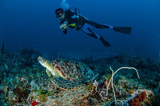 Les îles Gili