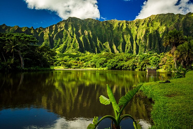 Ho Omaluhia Botanical Garden - Oahu 2