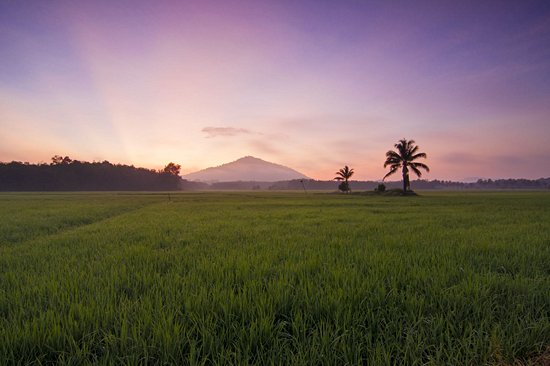 Kota Bharu