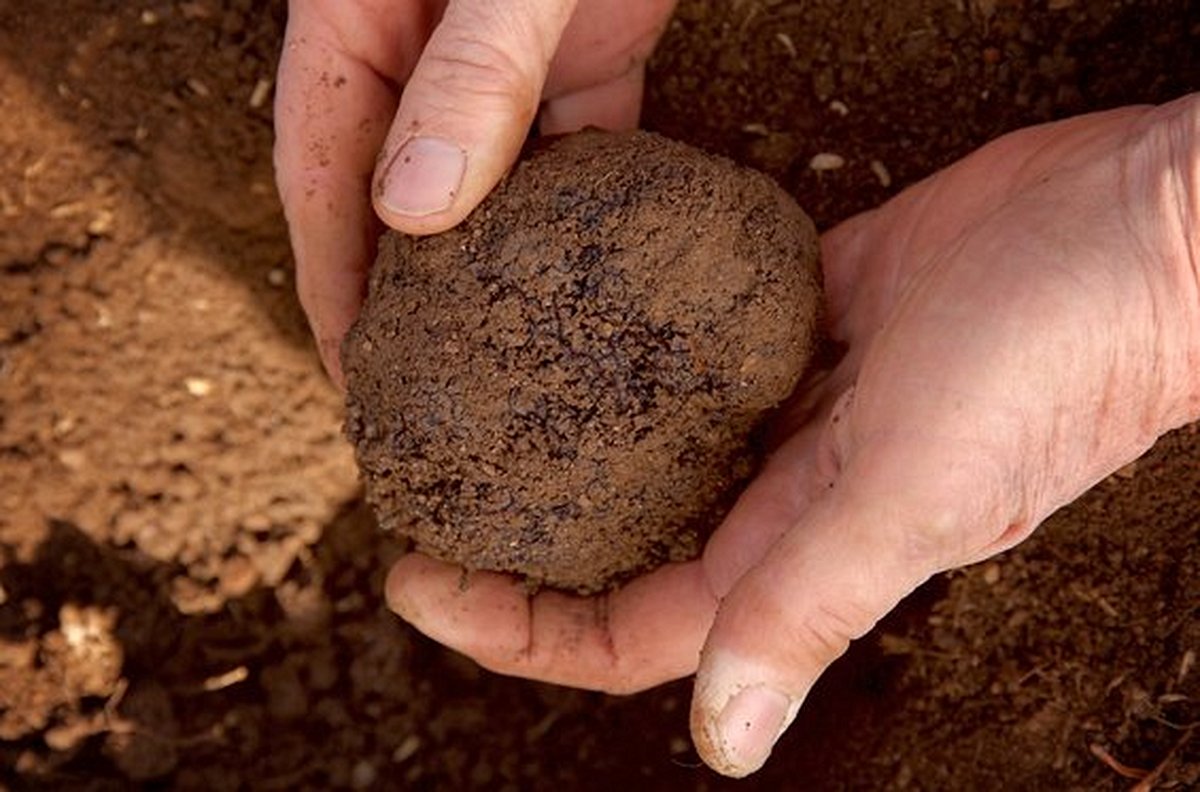 Découvrir l'univers de la truffe en participant à un stage