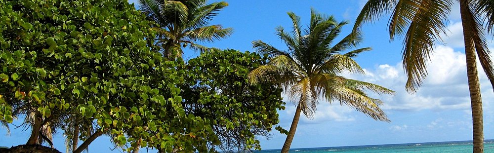 Les plages de Marie-Galante