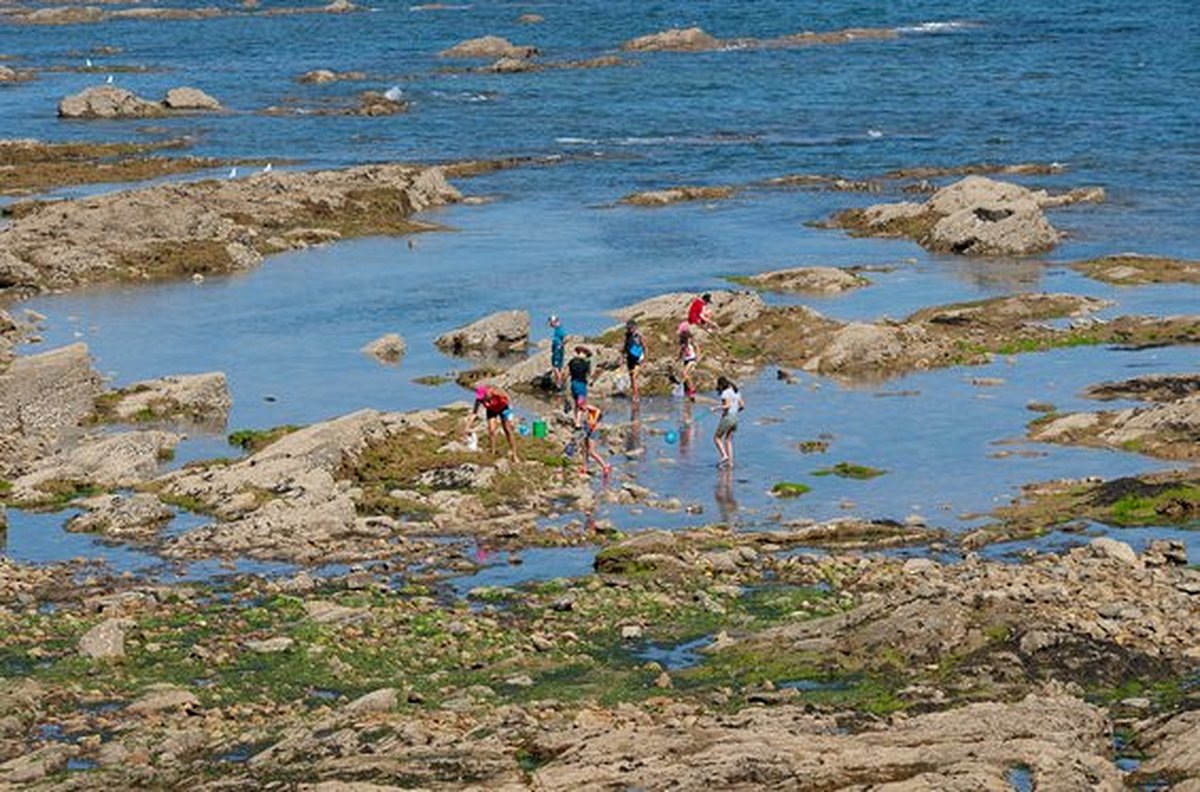Pratiquer la pêche à pied